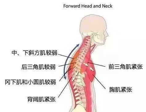 张艺谋《金陵十三钗》演员形体仪态导师:14节极简体态修炼课,教你快速提升女人味