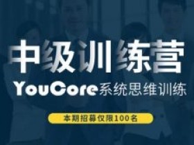 YouCore思维力训练:用框架解决问题