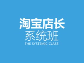 淘宝店长系统培训课程 淘宝店铺爆款打造排名优化教程