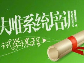 夫唯SEO系统培训视频课程 大型网站SEO执行方案