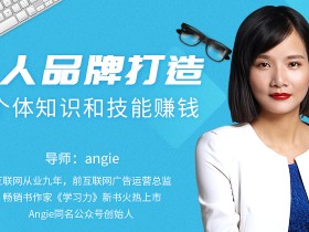 知识变现时代的个体崛起术,个人品牌打造,用个体知识和技能赚钱