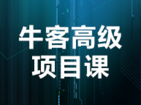 牛客网中高级项目课程 C++,Java,Python基础编程语言入门到精通视频教程
