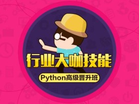 python实战12306验证和登录下单