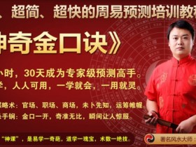 王大正:神奇金口诀 六爻教程 周易预测培训教程