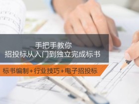 手把手教你招投标从入门到独立完成标书 招投标采购专家投标报价技巧