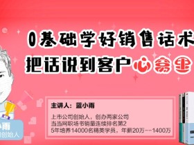 蓝小雨:0基础学好销售话术,把话说到客户心窝里