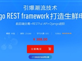 Python前后端分离开发Vue+Django REST framework框架学习实战视频教程
