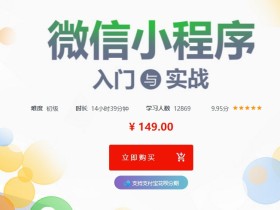 微信小程序入门与实战 常用组件API开发技巧项目实战