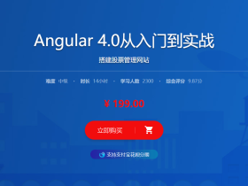 Angular 4.0从入门到实战 搭建股票管理网站