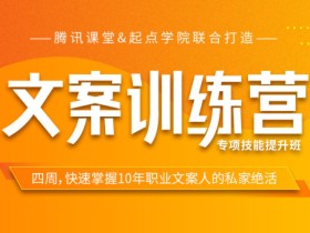 快速掌握10年职业文案人的私家绝活