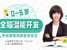 大J小D亲授:0-6岁全脑潜能开发,养成高情商高智商宝宝