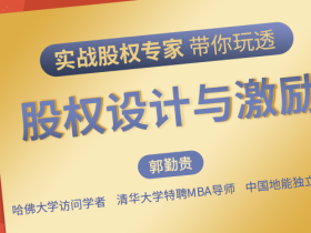 股权实战导师带你玩透股权设计与激励