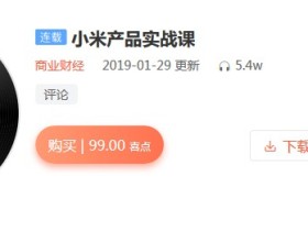 小米商战课:揭秘雷军核心打法