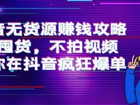 刘Sir.抖音无货源赚钱攻略,不囤货,不拍视频,带你在抖音疯狂爆单