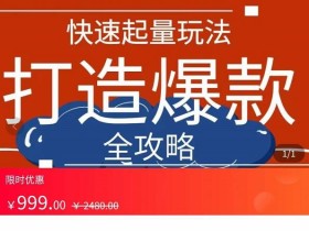 威哥·拼多多从0起步小白到大神运营全攻略,快速起量打造爆款