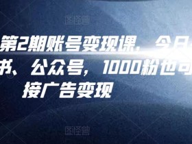 汤小小账号变现课第2期,今日头条、小红书、公众号,1000粉也可以接广告变现