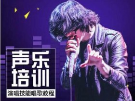 两套教唱歌视频课程