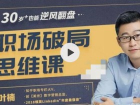 【叶楠】职场破局思维课