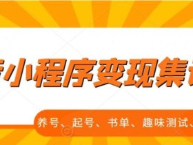 抖音小程序变现集训课,养号、起号、书单、趣味测试、视频剪辑,全套流程