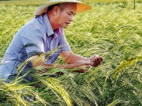 农村开什么店最赚钱投资小(没经验的人开什么店好)