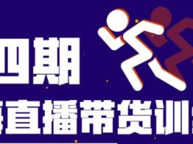 盗坤第四期蓝海带货直播训练营:平台的算法逻辑、流量分发以及直播间搭建、主播话术、排品起号等