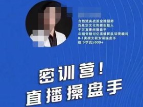 林枫操盘手线下课,自然流+短视频+千川+随心推全面讲解,全程干货YYDS