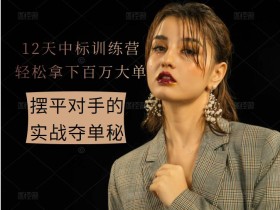 12天中标训练营 轻松拿下百万大单 摆平对手的实战夺单秘笈