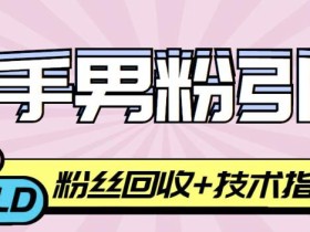 快手男粉引流项目,一个粉4元,轻松日赚300+案例分享【粉丝包回收】