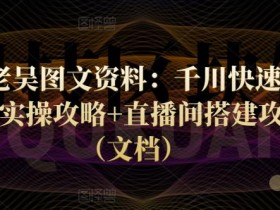 天诺老吴图文资料:千川快速起量+千川实操攻略+直播间搭建攻略等(文档)