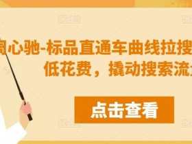 周心驰-标品直通车曲线拉搜索,用最低花费,撬动搜索流量