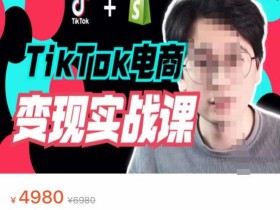 TikTok电商学长Ethan·TikTok电商变现实战课,TikTok运营+Shopify独立站运营+TikTok广告投放