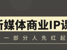 升值计新媒体商业IP3.0,全面揭秘新媒体写作套路及其背后的底层逻辑