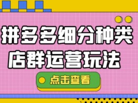拼多多细分种类店群运营玩法3.0,11月最新玩法,小白也可以操作