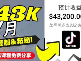 2022抖音国际版Tiktok赚钱项目:每天上传一个视频就轻松月入$43200