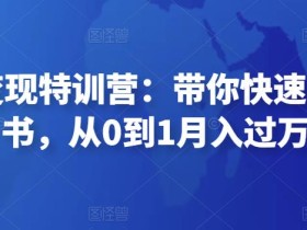 小红书变现特训营:带你快速入局小红书,从0到1月入过万