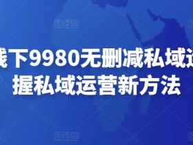 毛毛姐线下9980无删减私域运营,掌握私域运营新方法