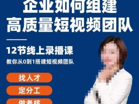 企业如何组建高质量视频团队,12节课教你从0到1搭建短视频团队