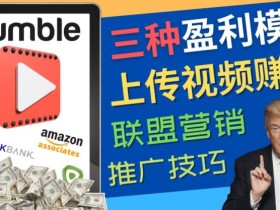 视频分享平台Rumble的三种赚钱模式,上传视频赚钱的方法,操作简单,只需复制粘贴