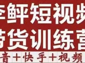 李鲆·短视频带货训练营(第12期),低投入、低风险、比较容易上手,收益巨大