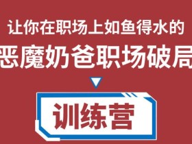 恶魔奶爸职场破局训练营1.0,教你职场破局之术,从小白到精英一路贯通