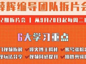 薛辉编导团队拆片会:热门视频拆解,爆火博主揭秘,账号涨粉思路,变现玩法分享等