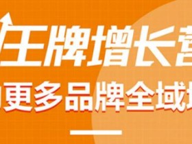 【王牌增长营】帮助更多电商品牌全域增长,月销百万实操干货,价值899元
