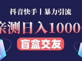 亲测日收益1000+的交友盲盒副业丨有手就行的抖音快手暴力引流