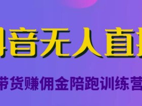 抖音无人直播带货赚佣金陪跑训练营,从0开始看完就能实操,日赚5000元(价值6980元)