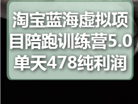 淘宝蓝海虚拟项目陪跑训练营5.0 单天478纯利润