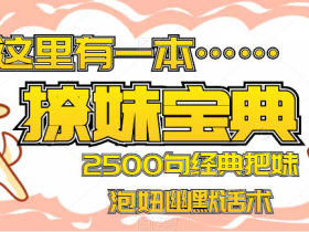 2500句经典把妹泡妞幽默话术