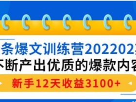 【头条爆文】头条爆文训练营202202期 不断产出优质的爆款内容