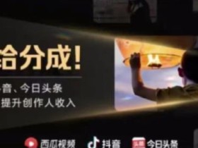 2022年最新中视频变现最稳最长期的项目,一个账号月入几万很简单