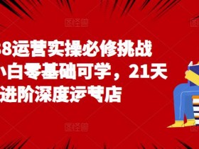 1688运营实操必修挑战营,小白零基础可学,21天进阶深度运营店