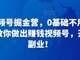 36天视频号掘金营,0基础不用担心,手把手教你做出赚钱视频号,开启高薪副业!